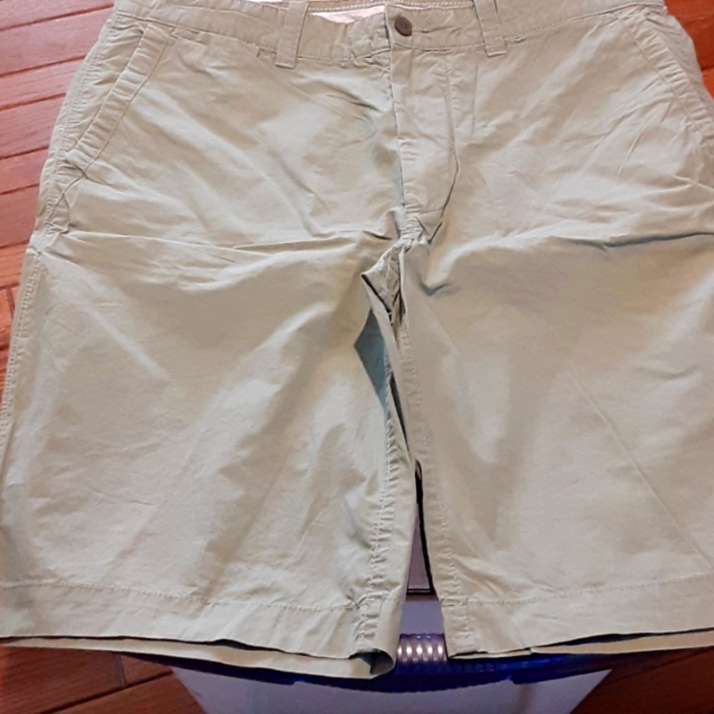 Mens Penguin shorts, size 36, nice green color.